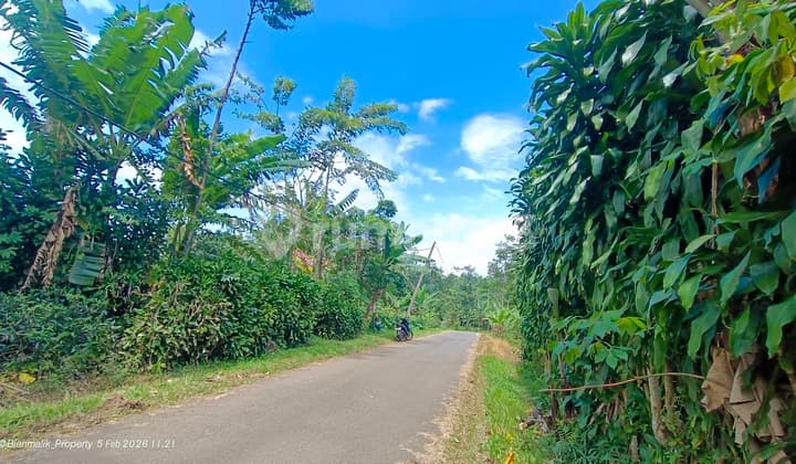 Kebun Produktif Strategis Pinggir Jalan Besar Akses 2 Mobil