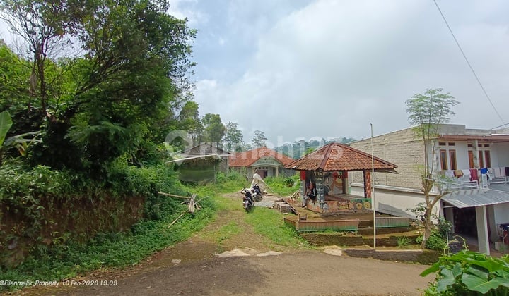 Kebun Produktif 5.000 M2 Bonus Rumah Besar dan Gudang