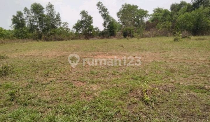 Dijial.murah Dekat Citra Raya Cikupa Jl.panongan Cicok Untuk.ckuster Dijial.murah Dekat Citra Raya Cikupa Jl.panongan Cicok Untuk.ckuster