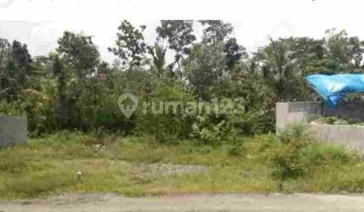 Kalilom Lor Kedinding Tengah Kalilom Lor Kedinding Tengah