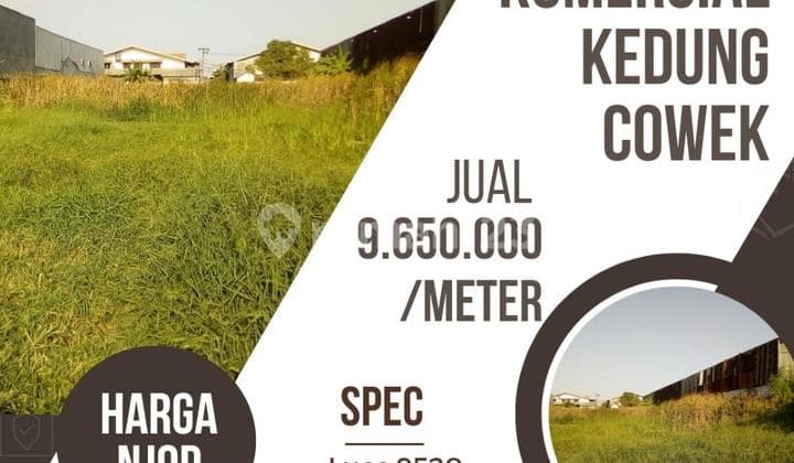 Murah Harga NJOP Kedung Cowek Sby Timur Dkt Kenjeran