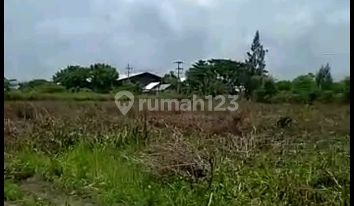 Tanah Zona Industri Tuban