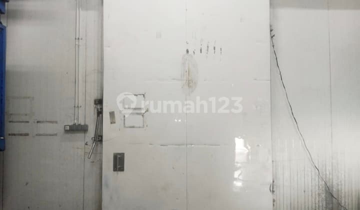 Gudang 2 Jejer Di Safe & Lock Ada Cold Storage