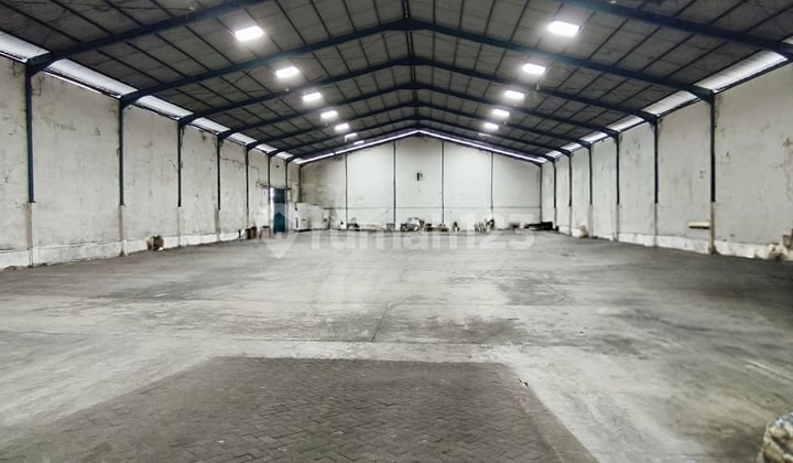Warehouse and Ready-to-Use Paddy Field Land