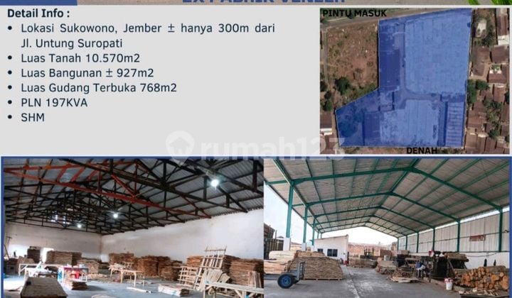 Pabrik Kayu Murah Di Jember, Siap Pakai