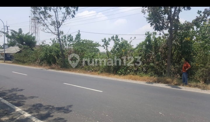 Tanah Strategis Dekat Tol Manyar Gresik.