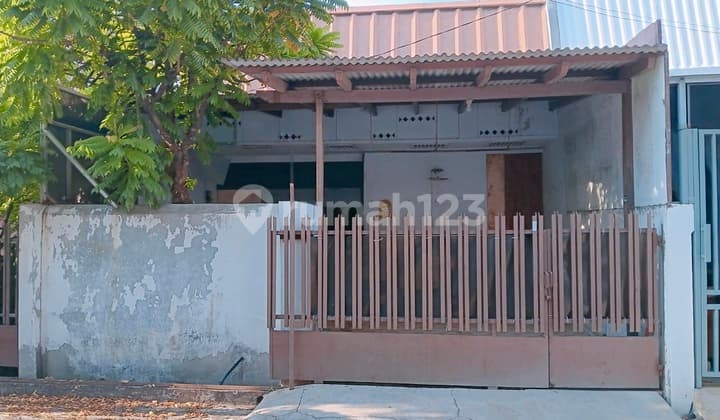 JUAL CEPAT Rumah Standart Jalan 2 Mobil di Sunter Hijau, Nego Tipis