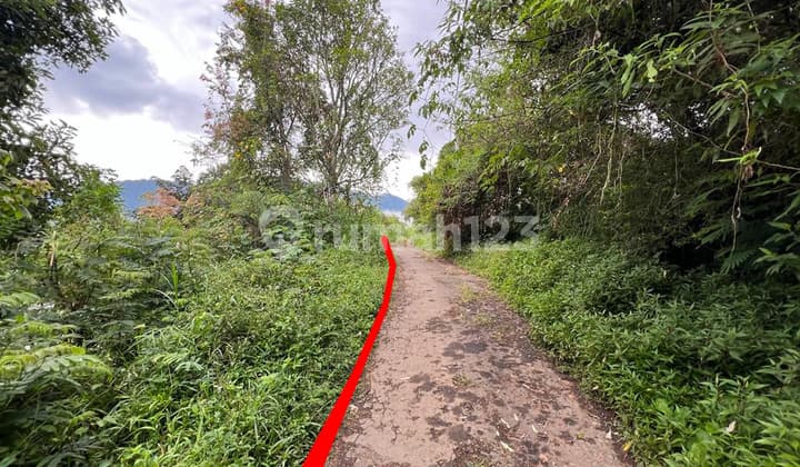 Tanah Danau Buyan Pancasari Sukasada Buleleng Cocok Utk Resort