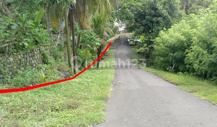 Tanah Jl Pelabuhan Pekutatan Jembrana Cocok Dibangun Villa