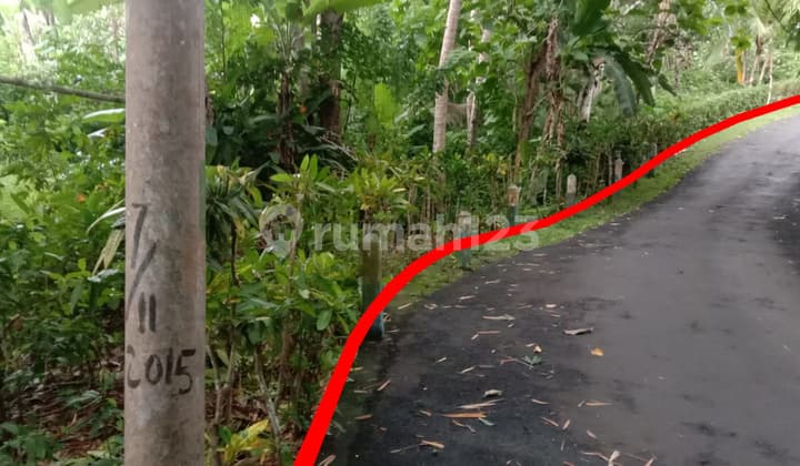 Tanah Di Jl Puri Dajuma Pekutatan Jembarana Cocok Utk Villa