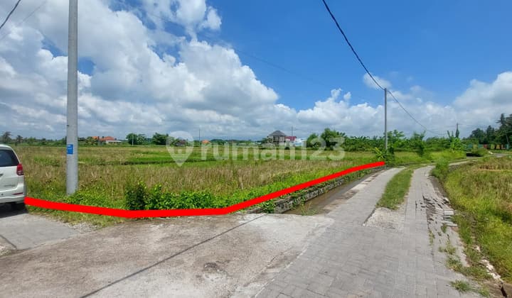 Tanah di Singapadu Sukawati Gianyar Cocok Buat Investasi