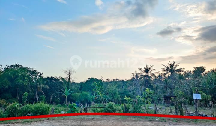 Tanah Jl Anyelir Tabanan Cocok Digunakan Untuk Gudang