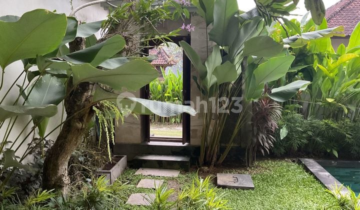 Guest House Jl Tumbak Bayuh Canggu Near To Canggu