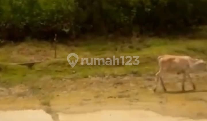 Dijual Tanah Dalam Kawasan Jabeka Cikarang