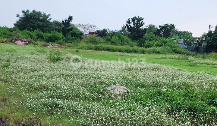 Good Location Cilincing Land with Container Access - Good Investment