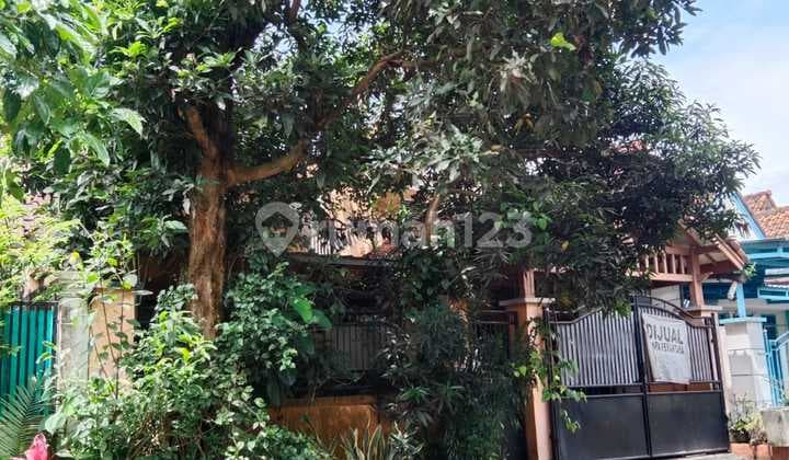 Dijual Cepat Rumah Siap Huni di Cluster Palem Citra Raya