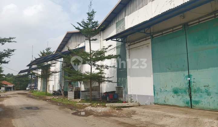 Warehouse for Rent in Cikupa, Ready to Use, Flood-Free