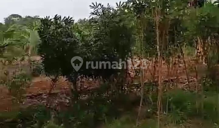 Land for Sale 70,000 SHM M²