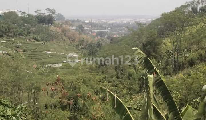 Dijual cepat Tanah di Jl Tembakaji Semarang tanah padat kering bebas banjir zona industri