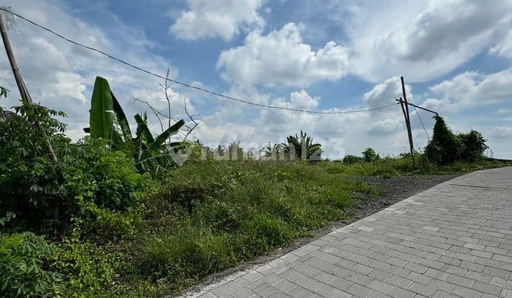 Tanah Kawasan Villa Dekat Pantai Kedungu