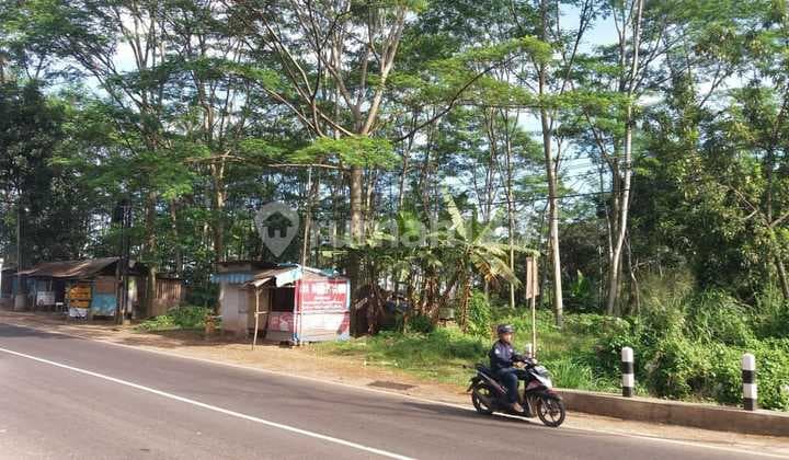 Tanah Kavling Murah Strategis di Citatah Padalarang Bandung