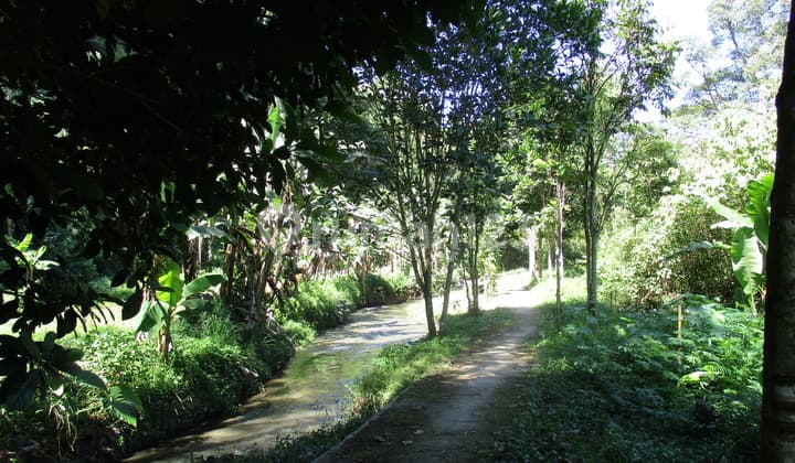 Tanah Murah untuk Villa/Usaha/Ternak di Gudang Kahuripan Lembang