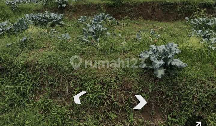 Jual Tanah Kavling Murah Bisa Split di Setiabudi Regency Bandung