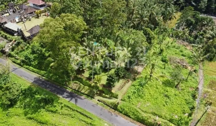 Tanah Lokasi Strategis Cocok Dibangun Villa Di Tabanan S7711