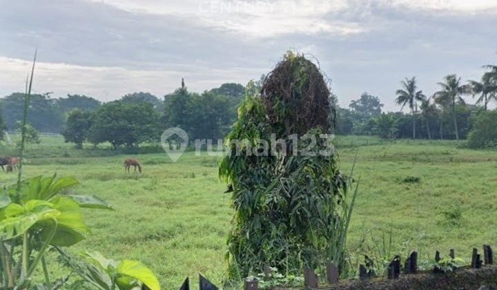 Dijual Kavling Luas di Pamulang Af 18034