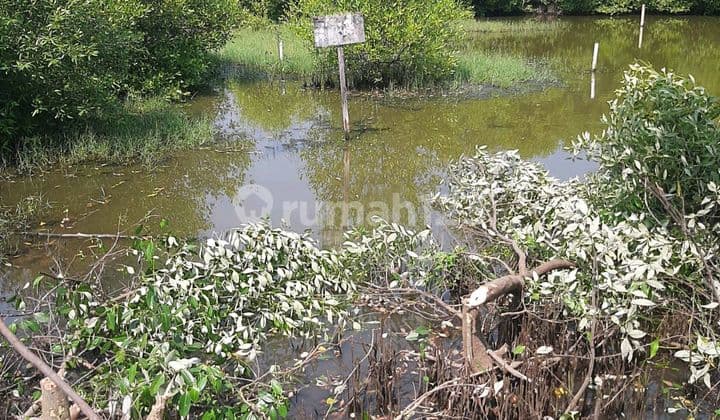 Dijual : Tanah Murah Di Medokan Ayu Rungkut