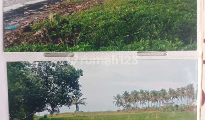 Tanah 15.000 M2 Di Jalan Raya Panimbang Pandeglang Banten