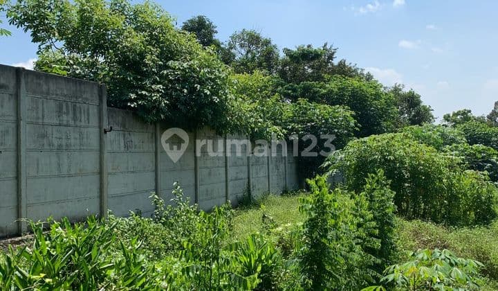 Land 9013 M2, in Cikeusal, Serang Tangerang, Banten