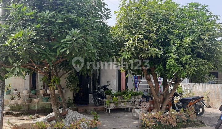 Rumah Dijual Type 60 Lokasi Area Jalan Purwodadi Panam