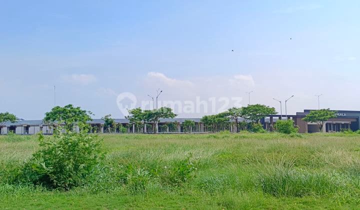 Commercial Land PIK 2 450 m² Thamrin Center