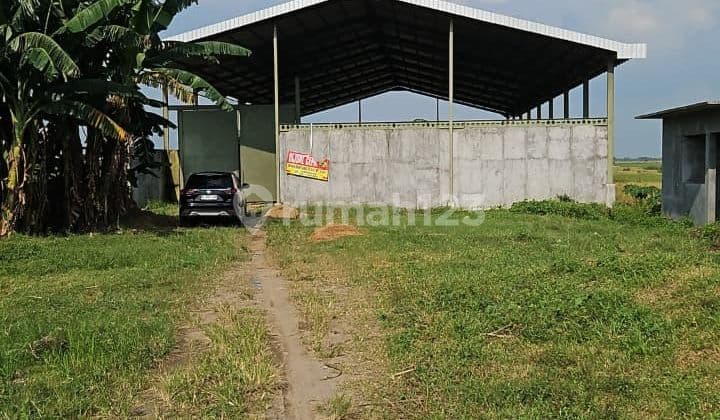 Dijual Gudang di Jalan Lingkar Demak Semarang