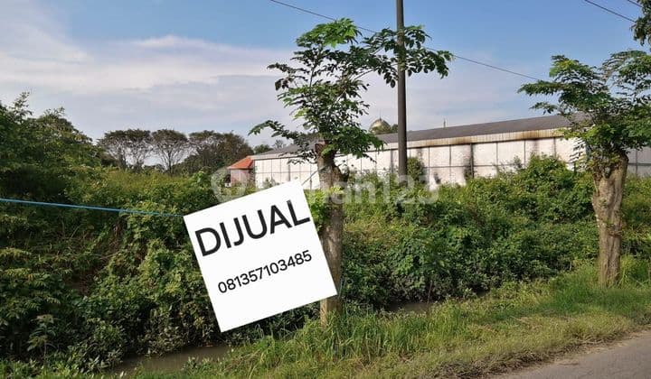 Jual Tanah Krembung Sidoarjo