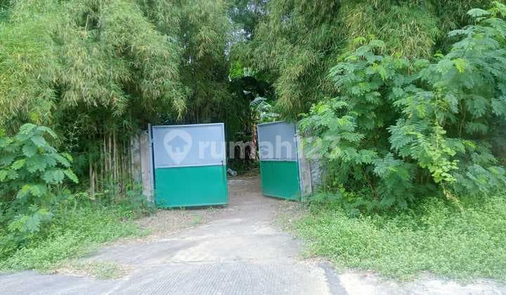 land for sale behind the airport super cheap