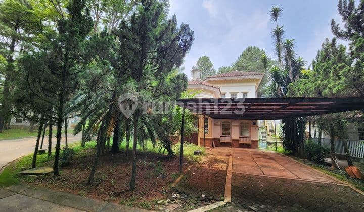 Rumah Murah Posisi Hook Dengan Pemandangan Pohon Pinus || Green Area || Cluster Sierramadre Sentul City
