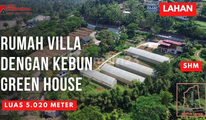 Dijual Cepat Villa Dengan Green House || Luas 5.020 || Pasir Angin || 5,2 Milyar || Kec. Megamendung