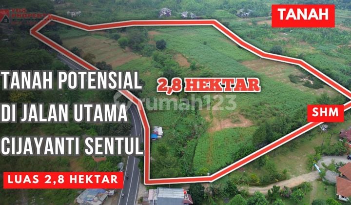 Tanah SHM Murah Di Jalan Raya Cijayanti || Luas 2,8 Hektar || Harga 1,7 Jta/Meter || Berjarak ± 20 Menit Dari Pintu TOLL