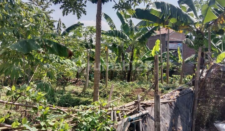 Tanah Murah Buah Batu/Ciganitri Jarang Ada