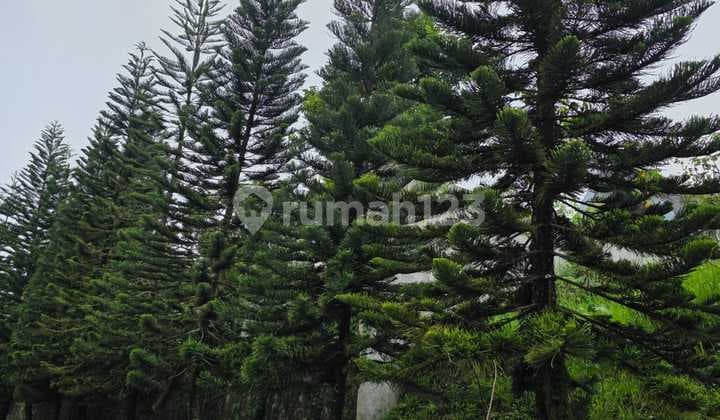 Dijual Kavling Pondok Hijau Bandung Bentuk Kotak