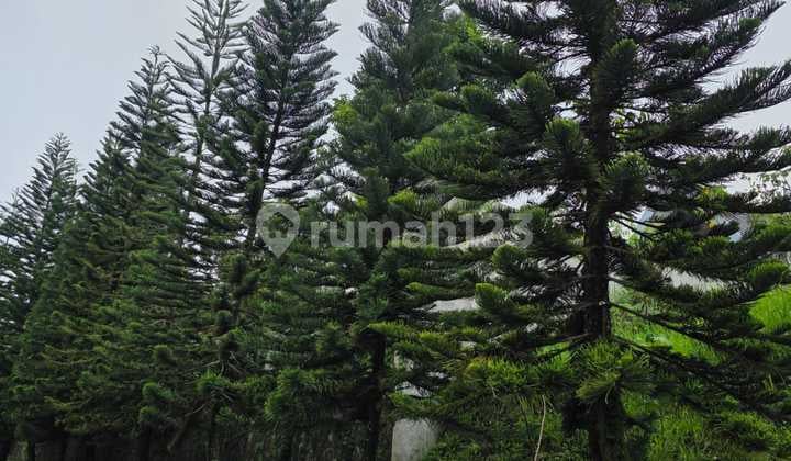 Dijual Kavling Pondok Hijau Bandung Bentuk Kotak