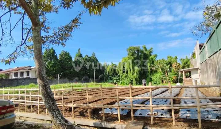 Strategic Plot for Sale in Sayap Setiabudi Bandung Strategic Plot for Sale in Sayap Setiabudi Bandung