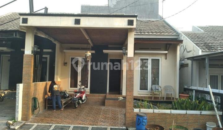 Rumah Terawat 1 Lantai Cibinong Dekat Pemerintahan