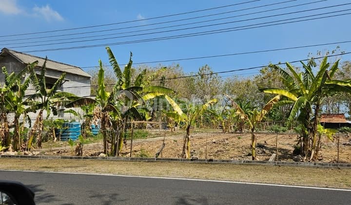 For Quick Sale Strategic Industrial Land Brondong Sedayu East Java