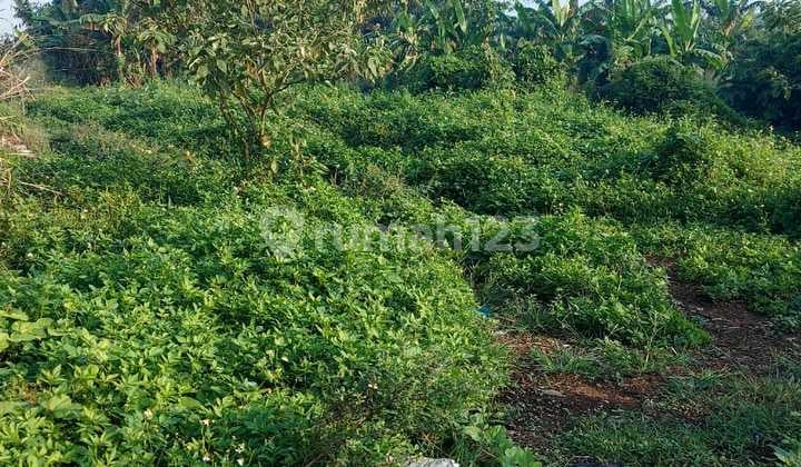 Di Jual Cepat Tanah Siap Bangun di Legok