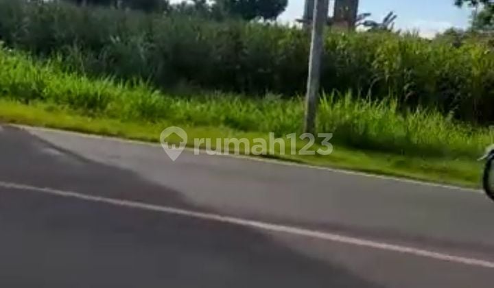 Di Jual Cepat Tanah di Brondong Lamongan