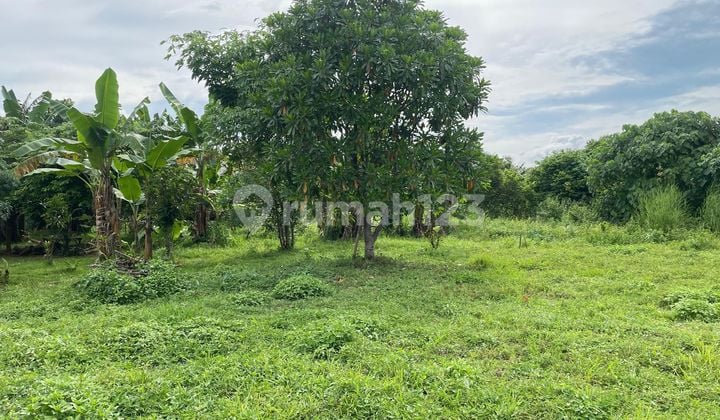 For Sale Fast Land in Cisauk Serpong