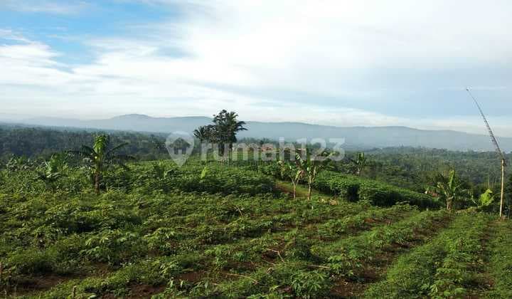 Di Jual Cepat Tanah 20 Ha Cocok Untuk Tempat Wisata/ Green House Cibadak Sukabumi